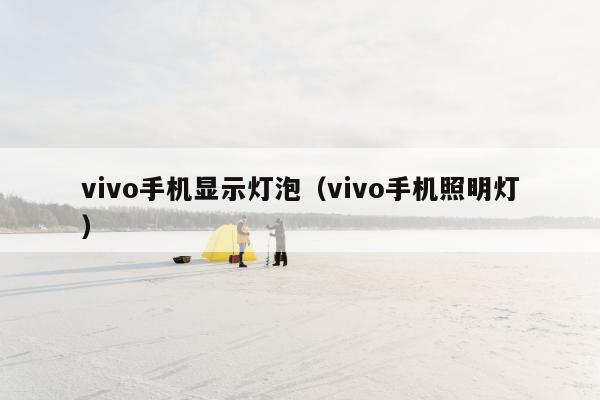 vivo手机显示灯泡（vivo手机照明灯）