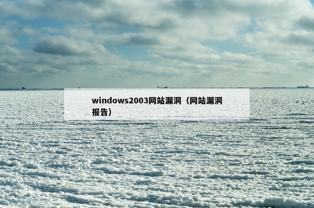 windows2003网站漏洞（网站漏洞报告）