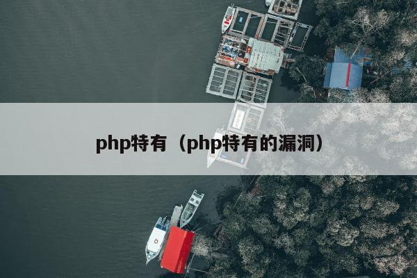 php特有（php特有的漏洞）