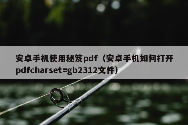 安卓手机使用秘笈pdf（安卓手机如何打开pdfcharset=gb2312文件）