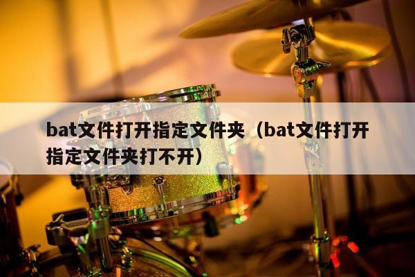 bat文件打开指定文件夹（bat文件打开指定文件夹打不开）