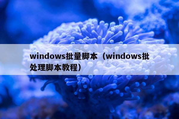 windows批量脚本（windows批处理脚本教程）