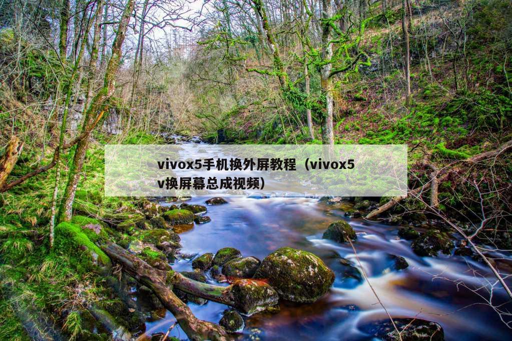 vivox5手机换外屏教程（vivox5v换屏幕总成视频）