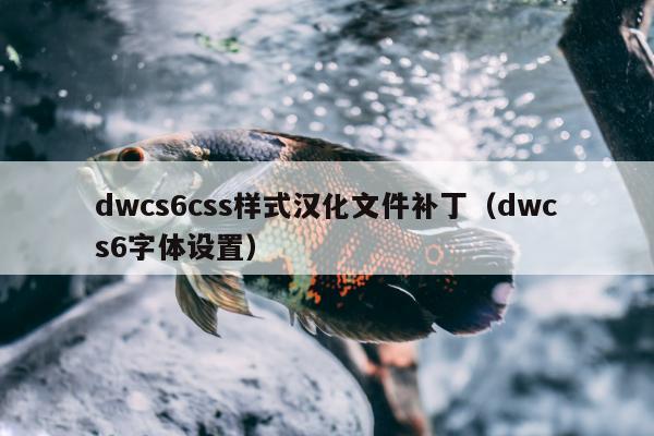 dwcs6css样式汉化文件补丁（dwcs6字体设置）