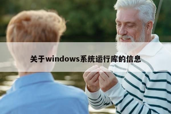 关于windows系统运行库的信息