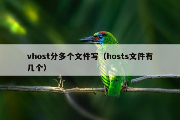 vhost分多个文件写（hosts文件有几个）