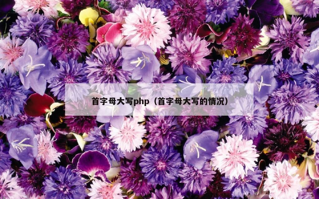 首字母大写php（首字母大写的情况）