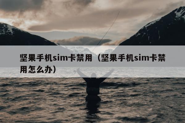 坚果手机sim卡禁用（坚果手机sim卡禁用怎么办）