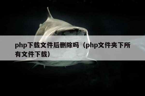 php下载文件后删除吗（php文件夹下所有文件下载）