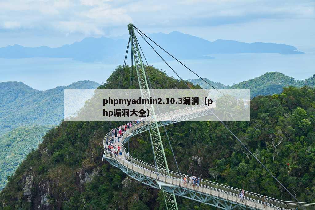 phpmyadmin2.10.3漏洞（php漏洞大全）