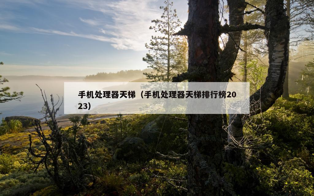 手机处理器天梯（手机处理器天梯排行榜2023）