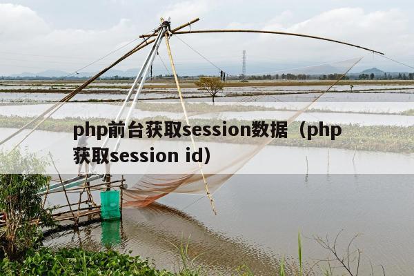 php前台获取session数据（php获取session id）