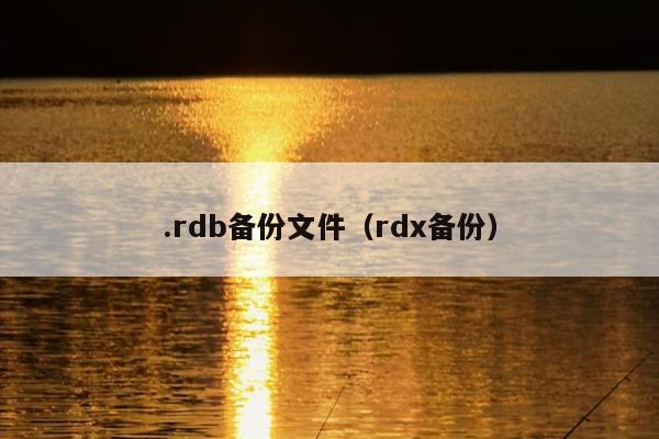 .rdb备份文件（rdx备份）