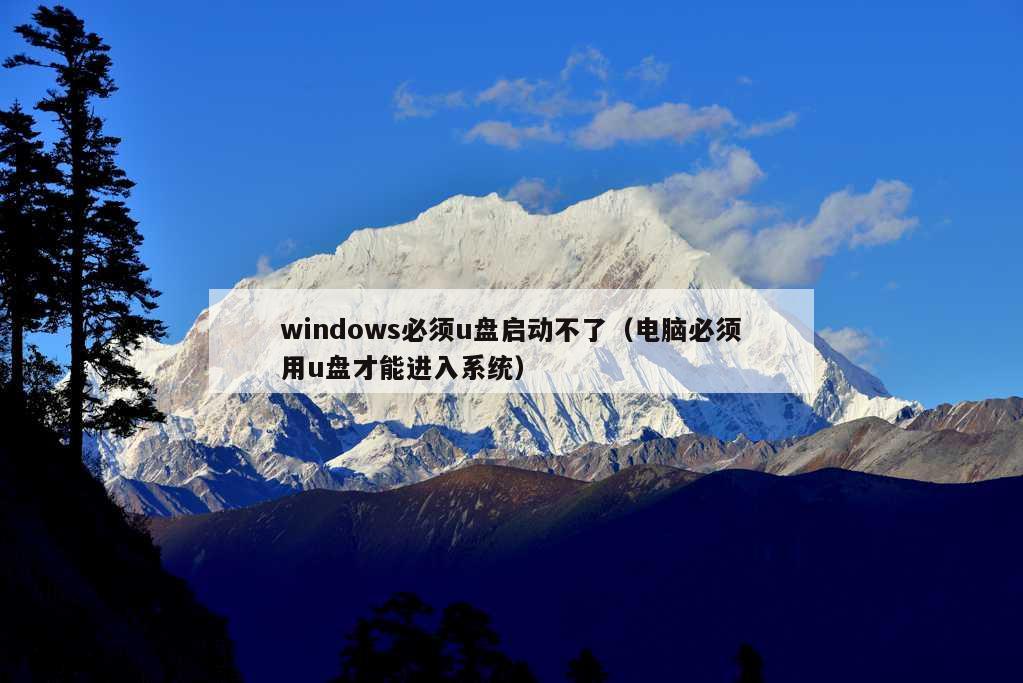 windows必须u盘启动不了（电脑必须用u盘才能进入系统）