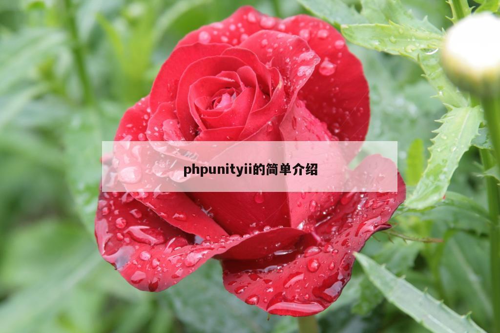 phpunityii的简单介绍