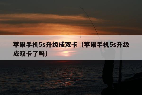 苹果手机5s升级成双卡（苹果手机5s升级成双卡了吗）