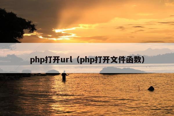 php打开url（php打开文件函数）