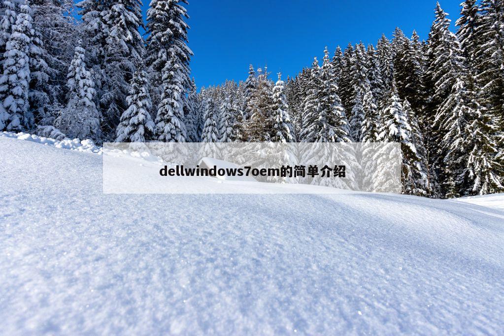 dellwindows7oem的简单介绍