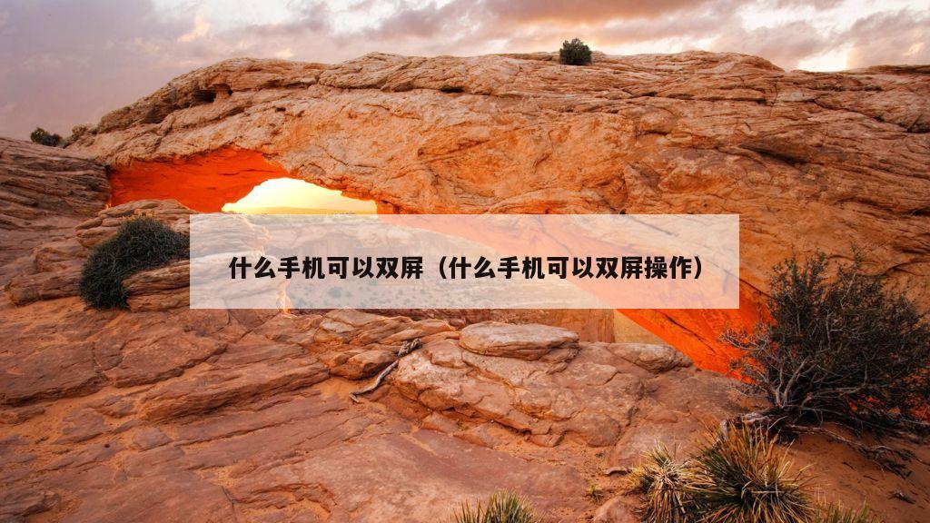 什么手机可以双屏（什么手机可以双屏操作）