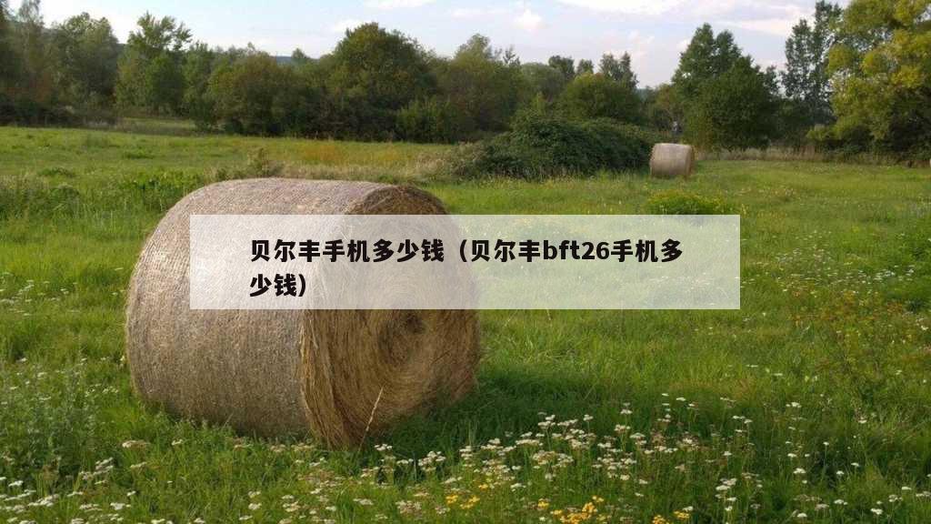 贝尔丰手机多少钱（贝尔丰bft26手机多少钱）