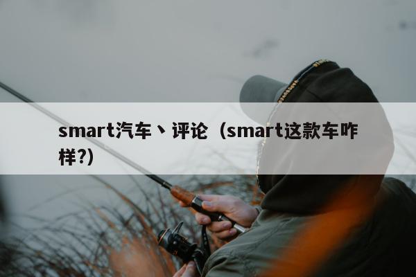 smart汽车丶评论（smart这款车咋样?）