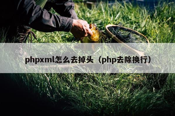 phpxml怎么去掉头（php去除换行）