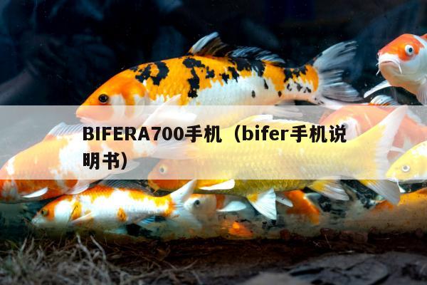 BIFERA700手机（bifer手机说明书）