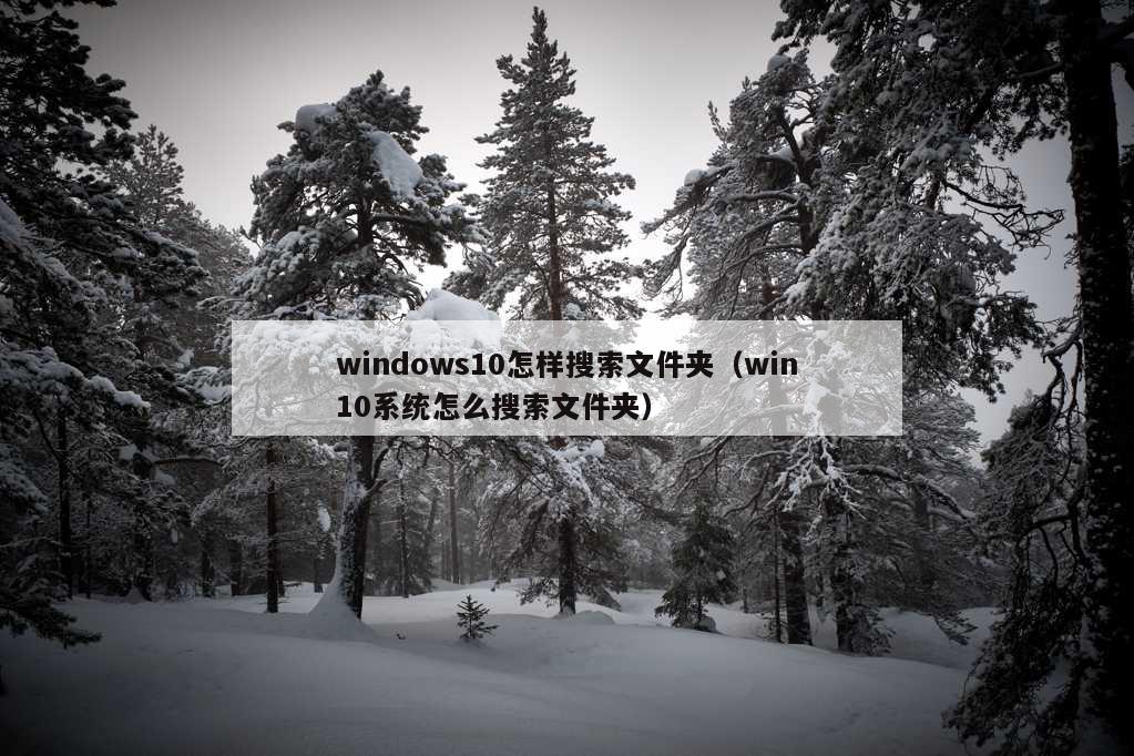 windows10怎样搜索文件夹（win10系统怎么搜索文件夹）