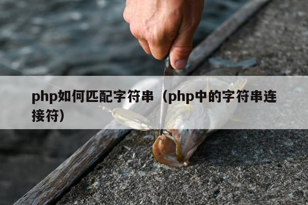 php如何匹配字符串（php中的字符串连接符）