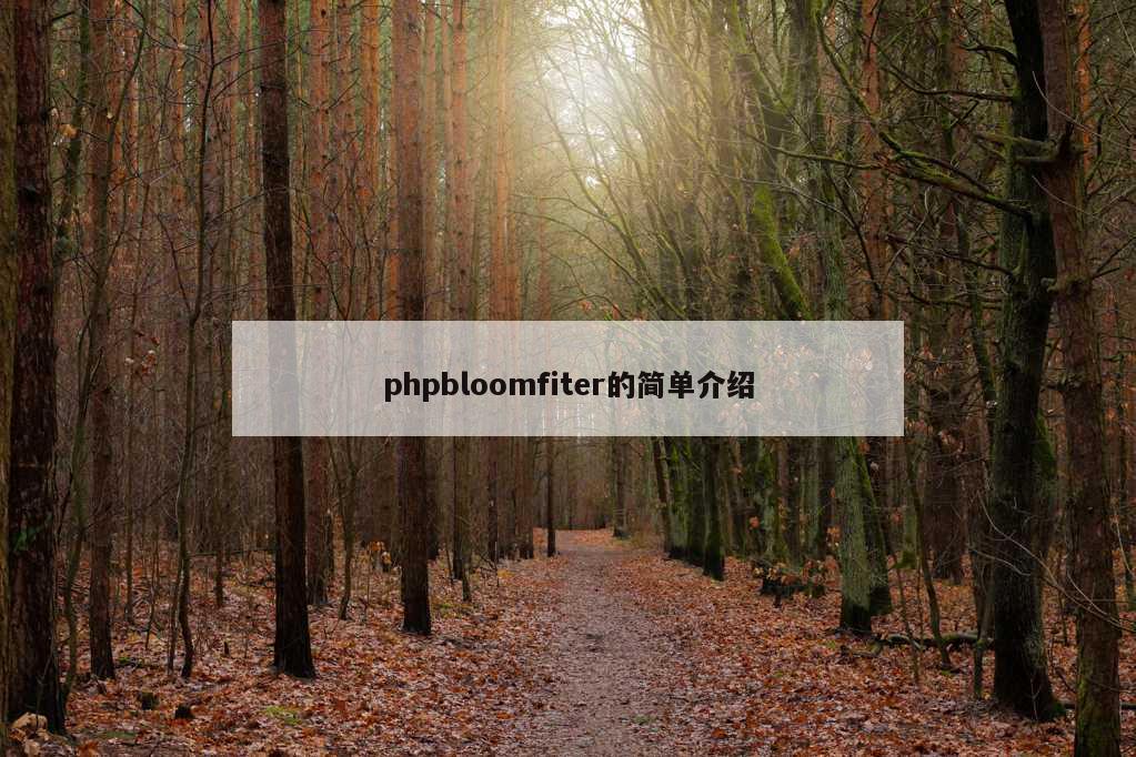 phpbloomfiter的简单介绍