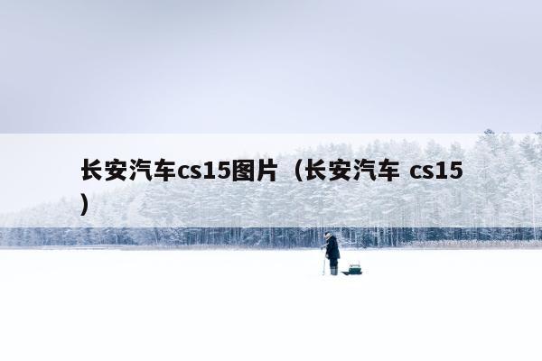 长安汽车cs15图片（长安汽车 cs15）