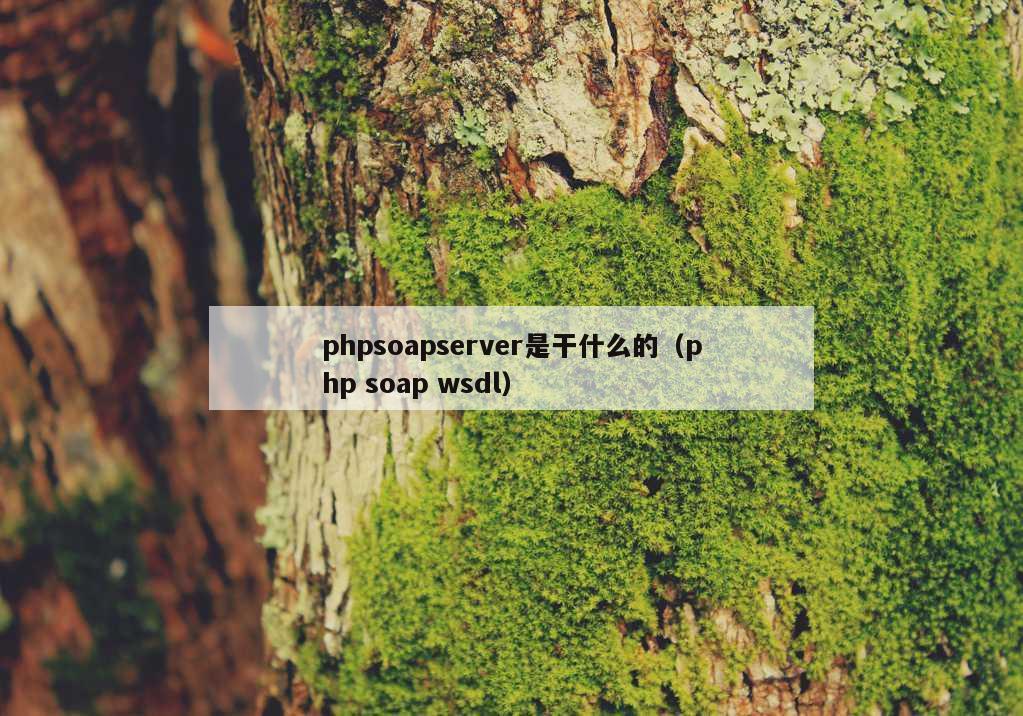 phpsoapserver是干什么的（php soap wsdl）