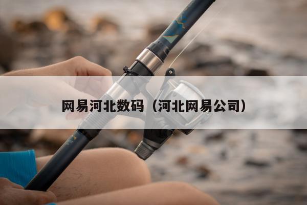 网易河北数码（河北网易公司）