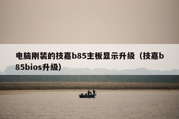 电脑刚装的技嘉b85主板显示升级（技嘉b85bios升级）