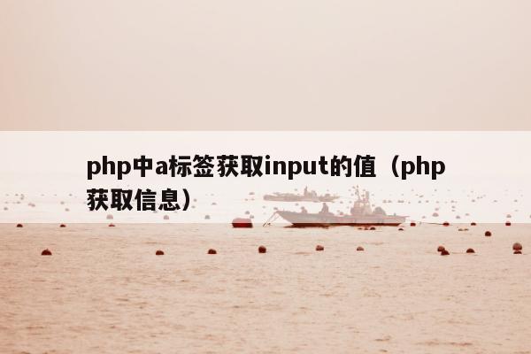 php中a标签获取input的值（php获取信息）