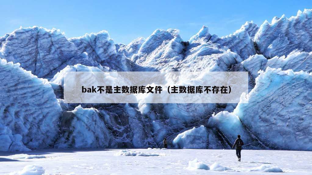 bak不是主数据库文件（主数据库不存在）