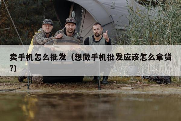 卖手机怎么批发（想做手机批发应该怎么拿货?）