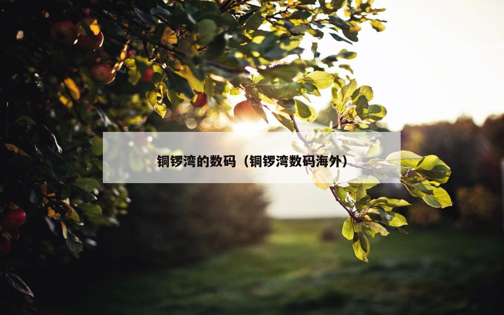 铜锣湾的数码（铜锣湾数码海外）