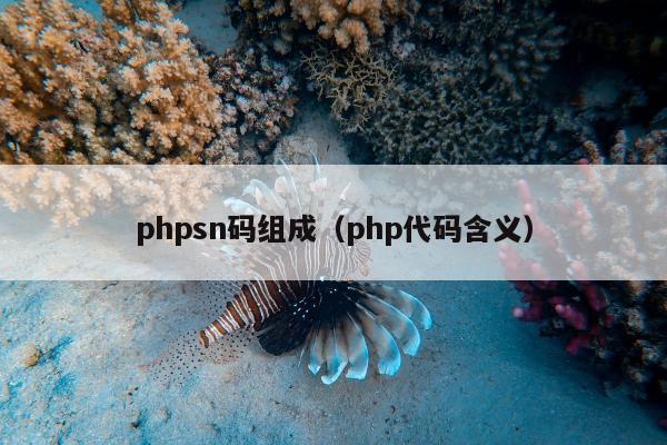 phpsn码组成（php代码含义）