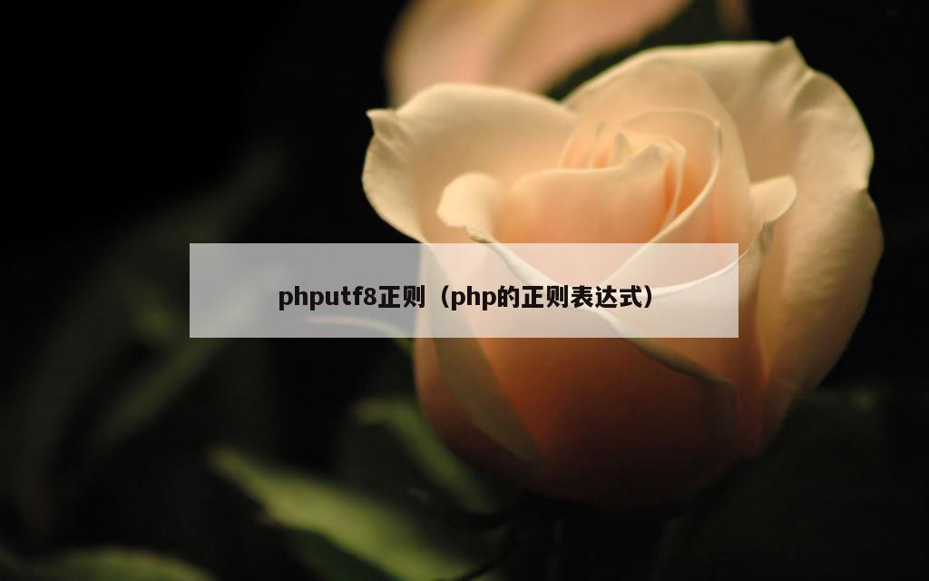 phputf8正则（php的正则表达式）