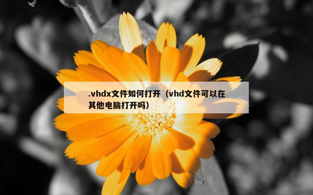 .vhdx文件如何打开（vhd文件可以在其他电脑打开吗）