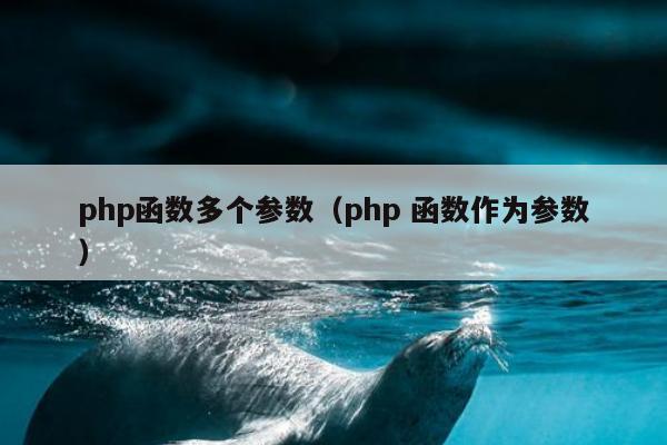 php函数多个参数（php 函数作为参数）