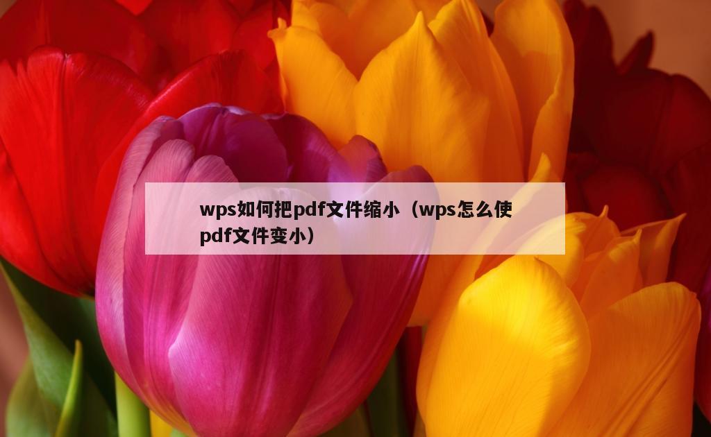 wps如何把pdf文件缩小（wps怎么使pdf文件变小）