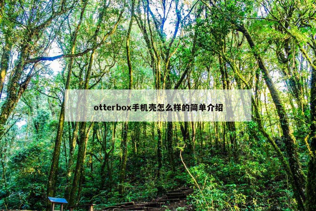 otterbox手机壳怎么样的简单介绍