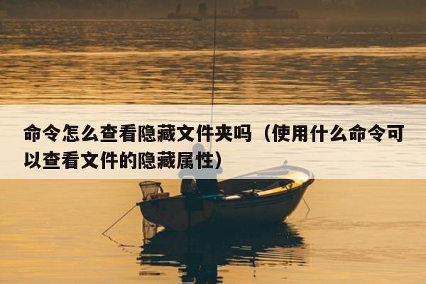 命令怎么查看隐藏文件夹吗（使用什么命令可以查看文件的隐藏属性）