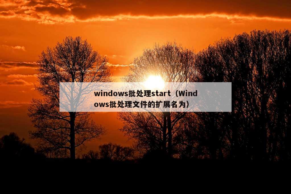 windows批处理start（Windows批处理文件的扩展名为）