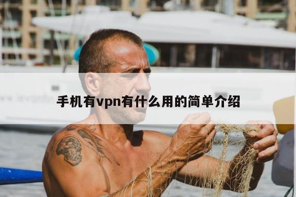 手机有vpn有什么用的简单介绍