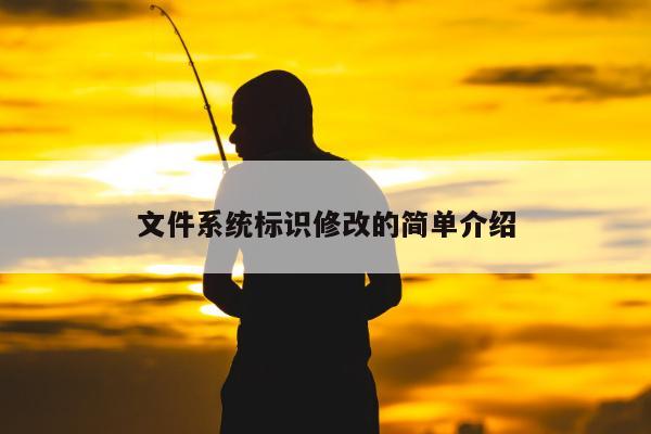 文件系统标识修改的简单介绍