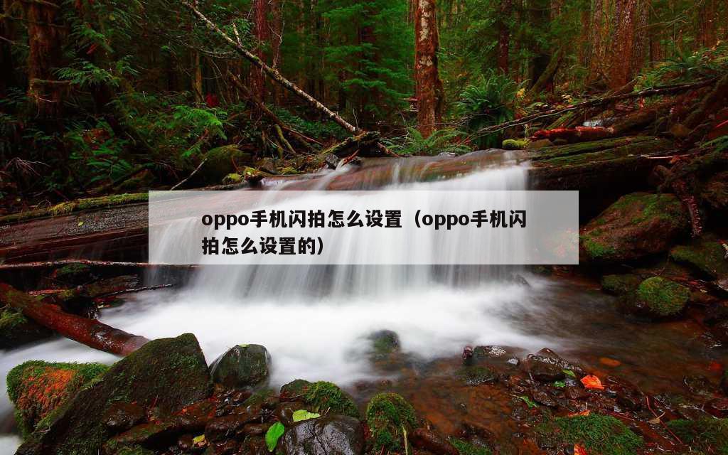 oppo手机闪拍怎么设置（oppo手机闪拍怎么设置的）