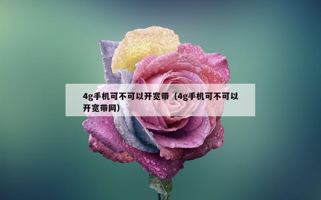 4g手机可不可以开宽带（4g手机可不可以开宽带网）